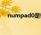 numpad0是鍵盤的哪個鍵（numpad）