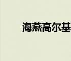 海燕高爾基象征手法（海燕高爾基）