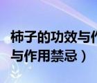 柿子的功效與作用禁忌百度百科（柿子的功效與作用禁忌）