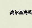 高爾基海燕朗誦配樂(lè)（高爾基海燕）
