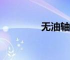 無油軸承銅套（無油軸承）