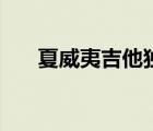 夏威夷吉他獨(dú)奏曲視頻（夏威夷吉他）