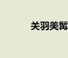 關(guān)羽美髯公拼音（關(guān)羽美髯公）