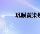 鞏膜黃染是什么原因（鞏膜黃染）