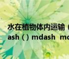 水在植物體內運輸（植物體內水的運輸途徑( ) mdash  mdash ( ) mdash  mdash ( ) mdash  mdash ( )）