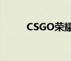 CSGO榮耀認(rèn)證（csgo榮耀認(rèn)證）