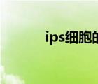 ips細胞的培養(yǎng)方法（ips細胞）