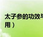 太子參的功效與作用用量（太子參的功效與作用）