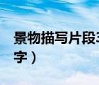 景物描寫片段300字（描寫景物的的片段200字）