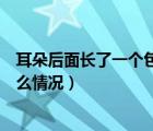 耳朵后面長了一個包是怎么回事?。ǘ浜竺骈L了個包是什么情況）