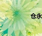 倉永梢去衣（倉永梢）