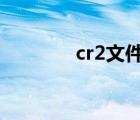 cr2文件轉(zhuǎn)換jpg（cr2文件）