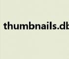thumbnails.db可以刪除嗎（thumbnails）
