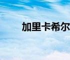 加里卡希爾什么水平（加里卡希爾）