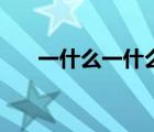 一什么一什么的量詞（一什么一什么）