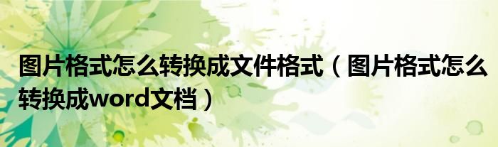 圖片格式怎么轉換成文件格式（圖片格式怎么轉換成word文檔）