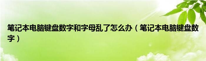 筆記本電腦鍵盤數(shù)字和字母亂了怎么辦（筆記本電腦鍵盤數(shù)字）