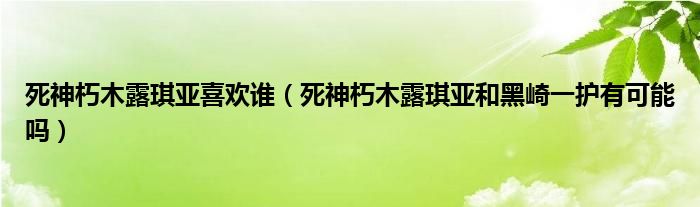 死神朽木露琪亞喜歡誰（死神朽木露琪亞和黑崎一護(hù)有可能嗎）