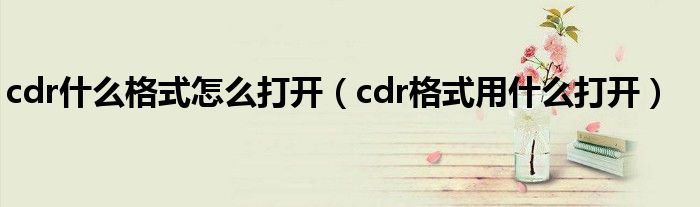 cdr什么格式怎么打開（cdr格式用什么打開）