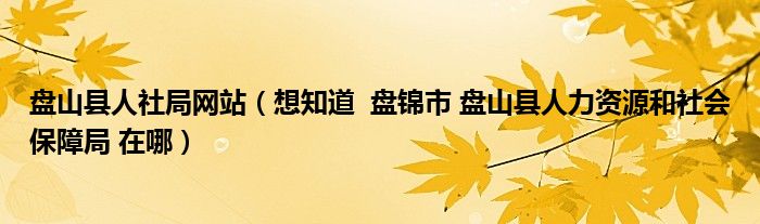 盤(pán)山縣人社局網(wǎng)站（想知道  盤(pán)錦市 盤(pán)山縣人力資源和社會(huì)保障局 在哪）