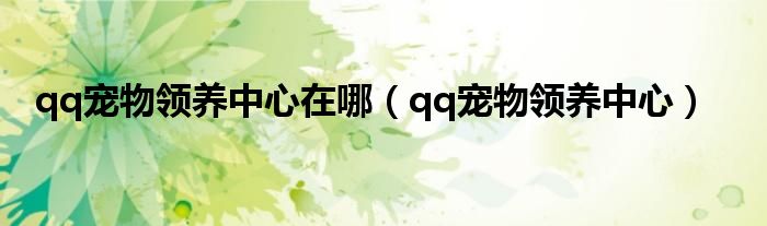 qq寵物領養(yǎng)中心在哪（qq寵物領養(yǎng)中心）