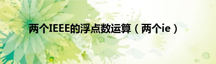 兩個IEEE的浮點數(shù)運算（兩個ie）