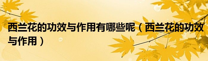 西蘭花的功效與作用有哪些呢（西蘭花的功效與作用）