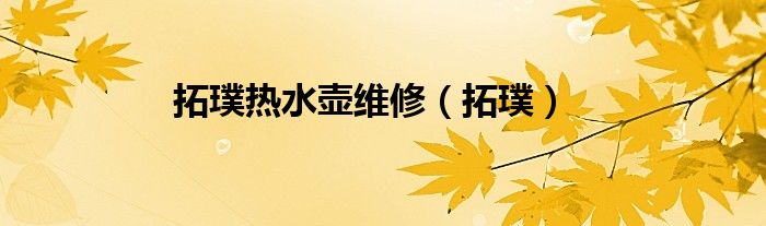 拓璞熱水壺維修（拓璞）