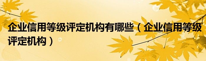 企業(yè)信用等級評定機構有哪些（企業(yè)信用等級評定機構）