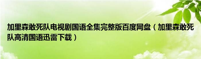 加里森敢死隊電視劇國語全集完整版百度網(wǎng)盤（加里森敢死隊高清國語迅雷下載）