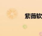紫薇軟劍小說（紫薇軟劍）