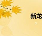 新龍族小說（新龍族）