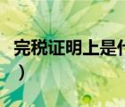 完稅證明上是什么字體（完稅證明是什么字體）