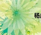 楊廣和李淵的關(guān)系