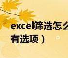 excel篩選怎么加選項(xiàng)（Excel 自動(dòng)篩選后沒有選項(xiàng)）