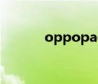 oppopadair參數(shù)（i pad air）