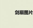 劍眉圖片女生明星（劍眉圖片）