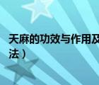 天麻的功效與作用及食用方法（焦三仙 功效與作用及食用方法）