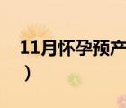 11月懷孕預(yù)產(chǎn)期是幾月（懷孕29周是幾個(gè)月）