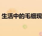 生活中的毛細(xì)現(xiàn)象原理（生活中的毛細(xì)現(xiàn)象）