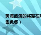 黃海波演的將軍在哪個平臺可以看?（黃海波將軍電視劇全集免費）