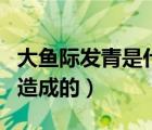 大魚際發(fā)青是什么毛?。ù篝~際發(fā)青什么原因造成的）