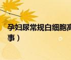 孕婦尿常規(guī)白細(xì)胞高是怎么回事（尿常規(guī)白細(xì)胞高是怎么回事）