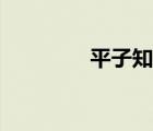 平子知歌簡介（平子知歌）