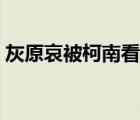灰原哀被柯南看光視頻（灰原哀被柯南看光）