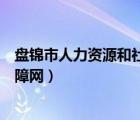 盤(pán)錦市人力資源和社會(huì)保障局網(wǎng)（盤(pán)錦市人力資源和社會(huì)保障網(wǎng)）