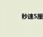 秒速5厘米（秒速5厘米壁紙）