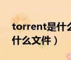 torrent是什么文件可以刪除嗎（torrent是什么文件）