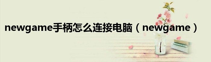 newgame手柄怎么連接電腦（newgame）