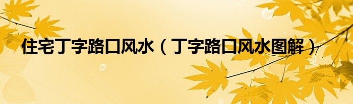 住宅丁字路口風水（丁字路口風水圖解）